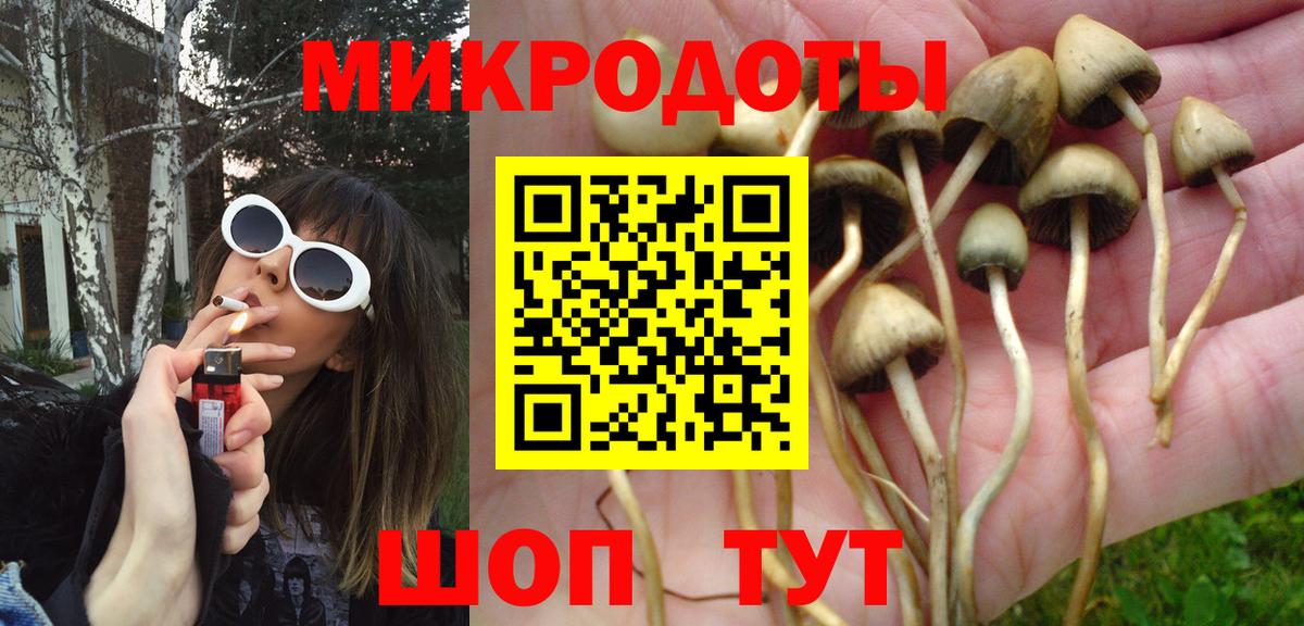 Южно-Сахалинск  Галлюциногенные грибы Cubensis  Вход с VPN 