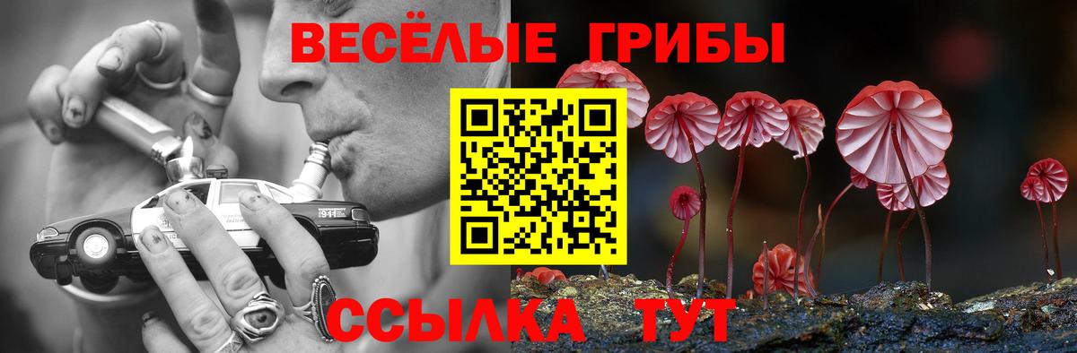 Псилоцибиновые грибы ЛСД Южно-Сахалинск